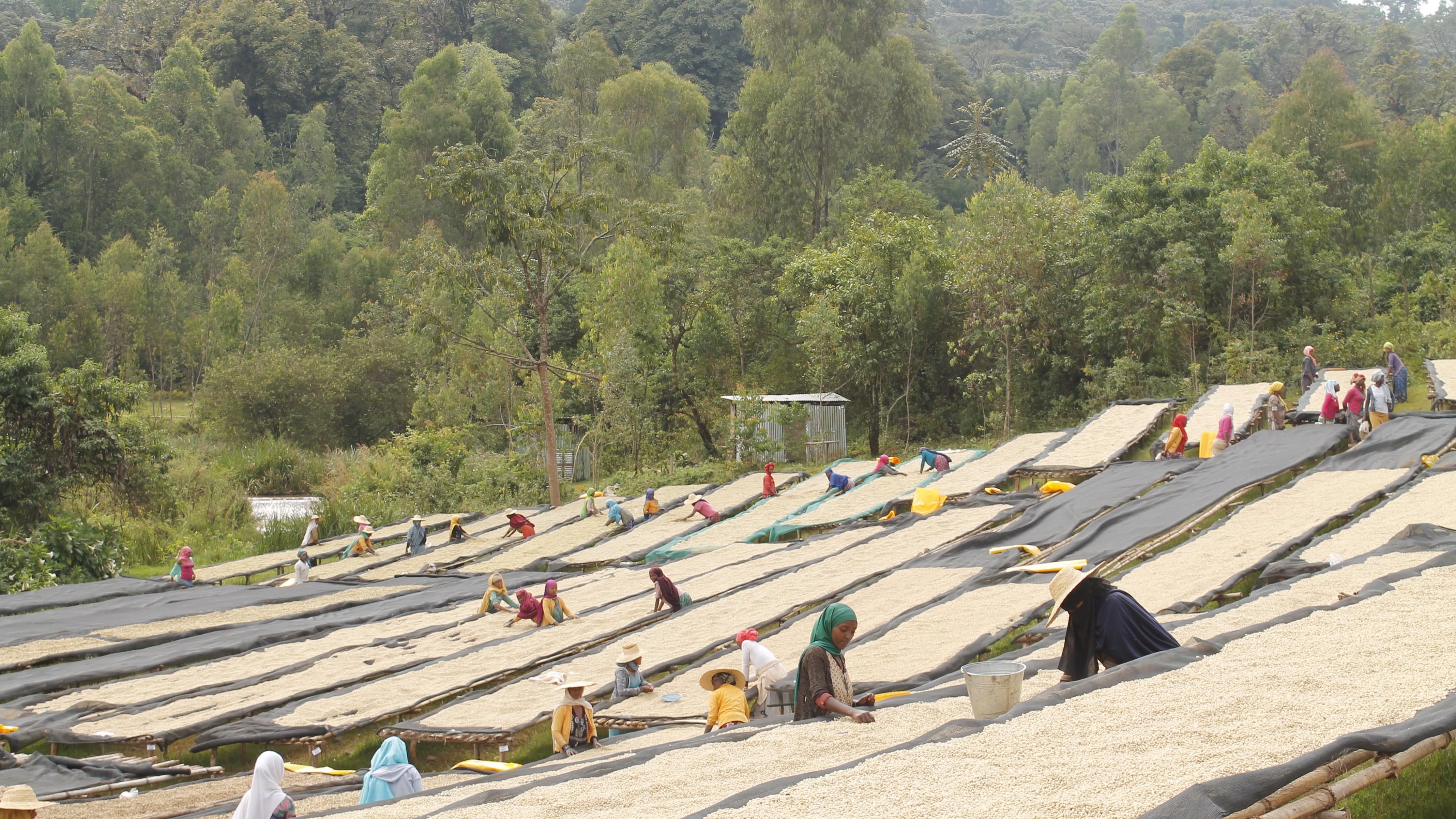 Etiopia Ayla station